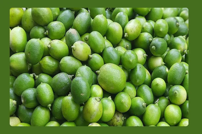 অভিনেতার রেড কার্পেট ছবি