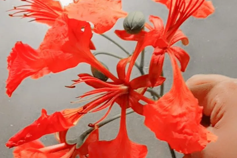 ডিজিটাল বাংলাদেশ প্রতিবেদন
