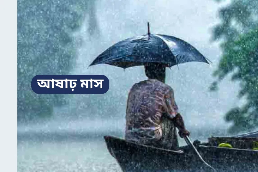 ২০২৫ সালের আষাঢ় মাসে বাংলাদেশের গ্রামে বৃষ্টিভেজা ধানক্ষেত ও কৃষকের জীবন